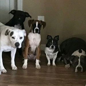 Meet your Posher, Jess